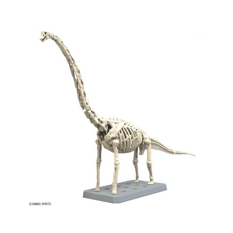 Dinosaure Plastic Model Kit Plannosaurus Brachiosaurus