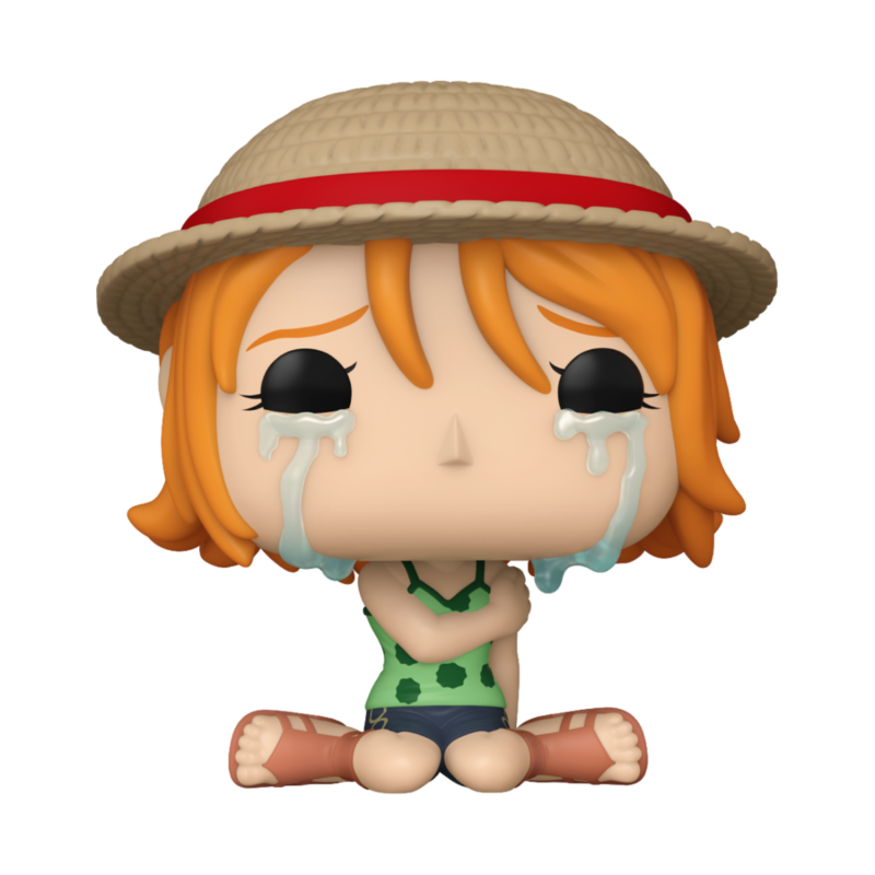 One Piece Pop Nami New Style