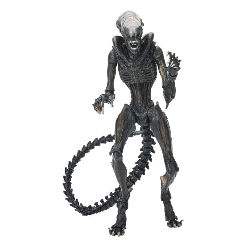 Alien Romulus Ultimate Af Scorched Xenomorph 23cm 