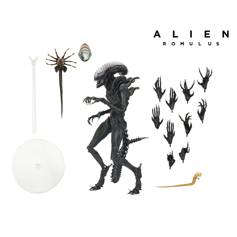 Alien Romulus Ultimate Af Scorched Xenomorph 23cm 