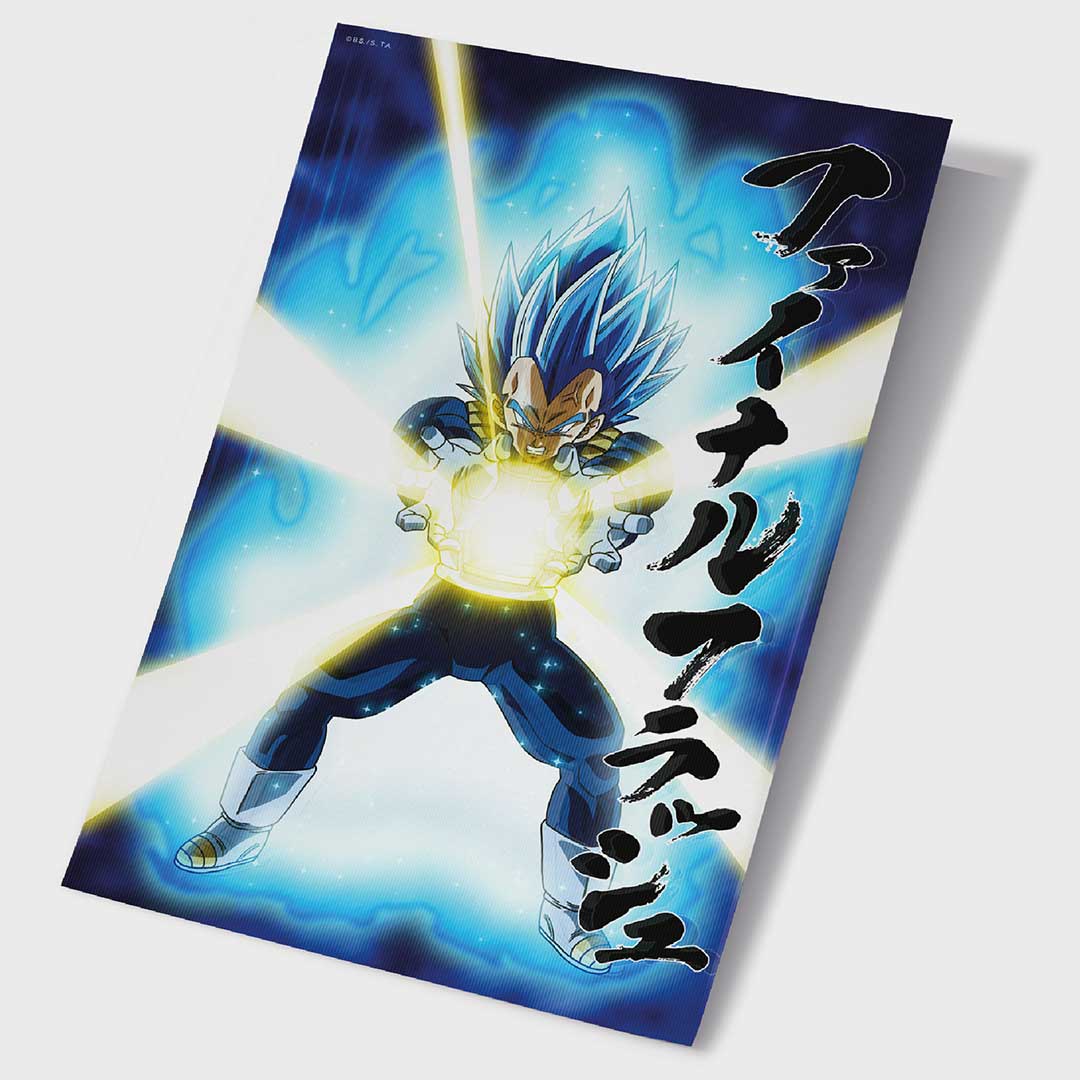 DBZ 3D Poster 40X60Cm Dragon Ball Universe Survival Vegeta