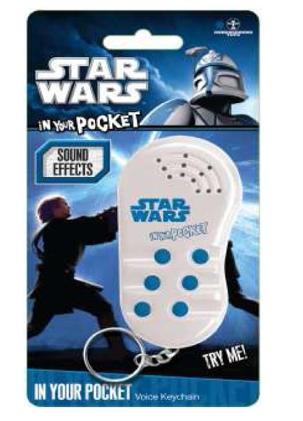 SW talking in your pocket porte clé sonore